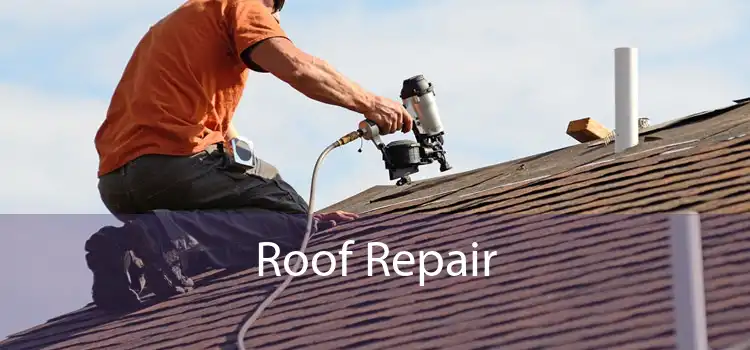 Roof Repair 